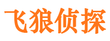 灵宝外遇调查取证